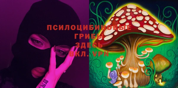 стафф Аркадак