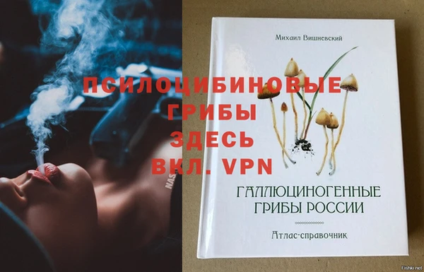 стафф Аркадак