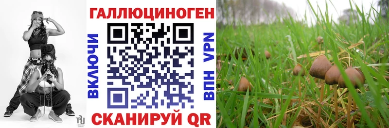 Галлюциногенные грибы мухоморы  что такое наркотик  Красногорск 
